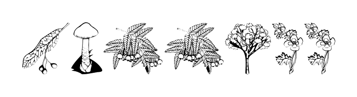 BotanishAndRelatives  Free Fonts Download