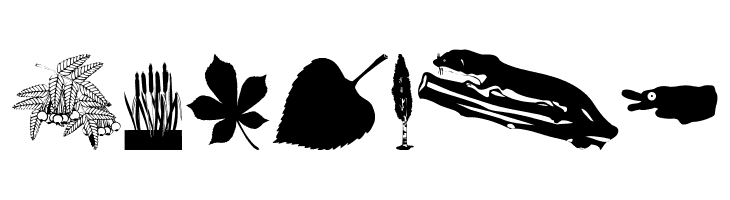 BotanishAndRelatives  Free Fonts Download