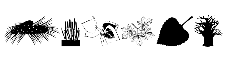 BotanishAndRelatives  Free Fonts Download