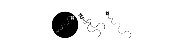 CurvedBeings  Free Fonts Download