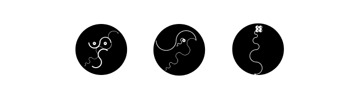 CurvedBeings  Free Fonts Download