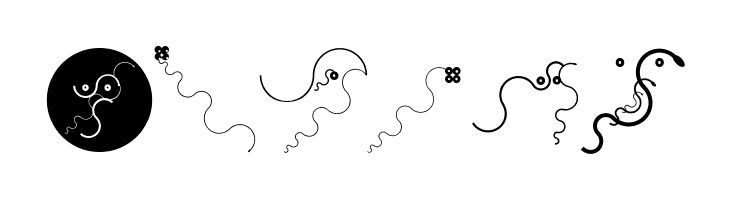 CurvedBeings  Free Fonts Download