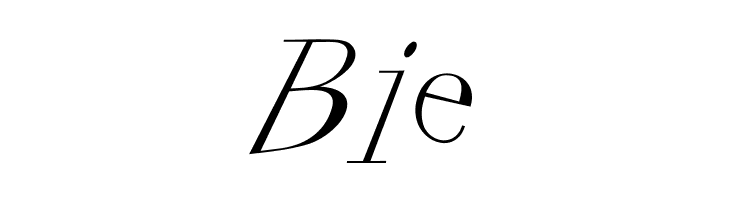 FrancofortePunk  Free Fonts Download