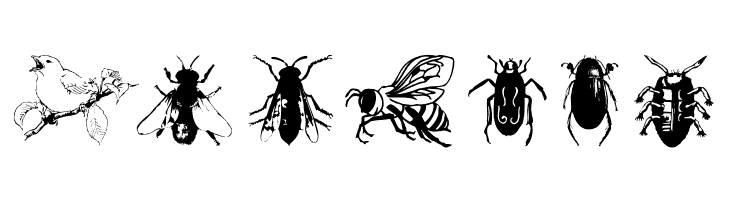 Zoology  Free Fonts Download