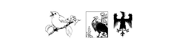 Zoology  Free Fonts Download