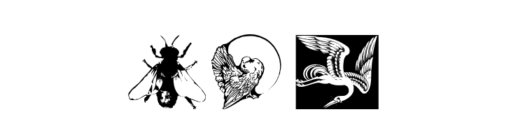 Zoology  Free Fonts Download
