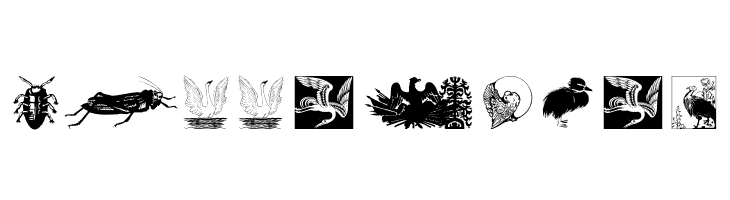 Zoology  Free Fonts Download