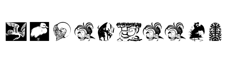 Zoology  Free Fonts Download