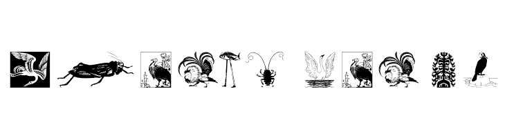 Zoology  Free Fonts Download