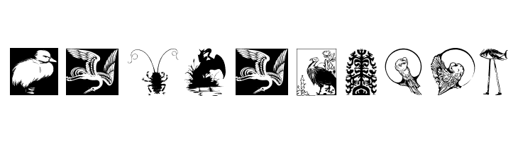 Zoology  Free Fonts Download