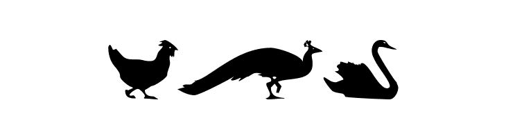BirdsOThree  Free Fonts Download