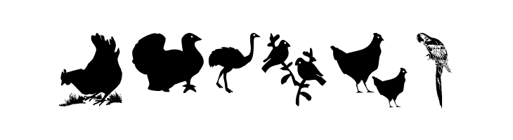 BirdsOThree  Free Fonts Download