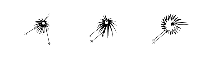 WildBirds  Free Fonts Download