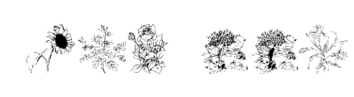 Flower Shower  Free Fonts Download