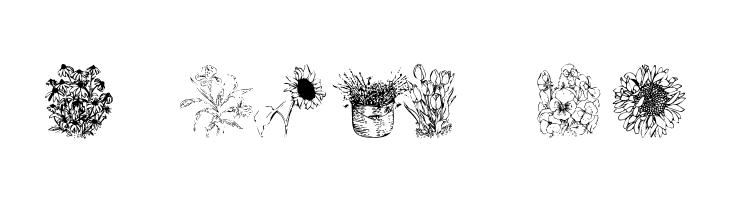 Flower Shower  Free Fonts Download