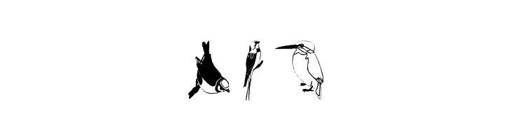 FlyWithMe  Free Fonts Download