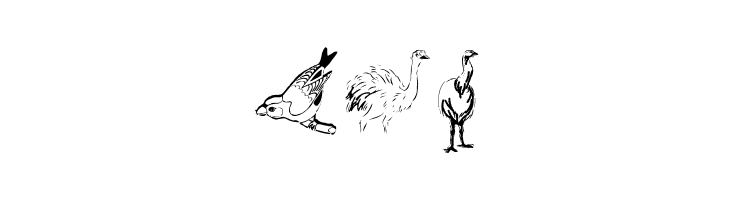 FlyWithMe  Free Fonts Download