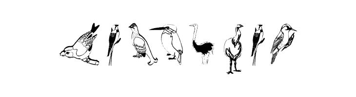 FlyWithMe  Free Fonts Download