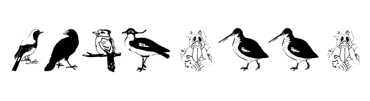 FlyWithMe  Free Fonts Download