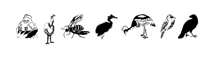 FlyWithMe  Free Fonts Download