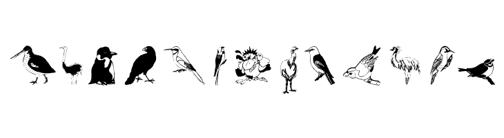FlyWithMe  Free Fonts Download