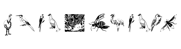 FlyWithMe  Free Fonts Download