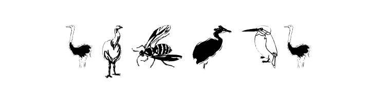 FlyWithMe  Free Fonts Download
