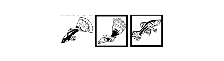 FischersFritze  Free Fonts Download