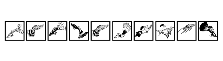 FischersFritze  Free Fonts Download