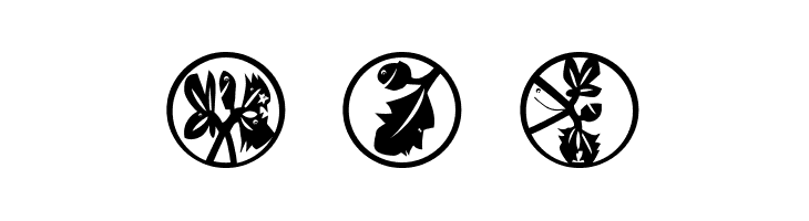 XmasImprovisations  Free Fonts Download