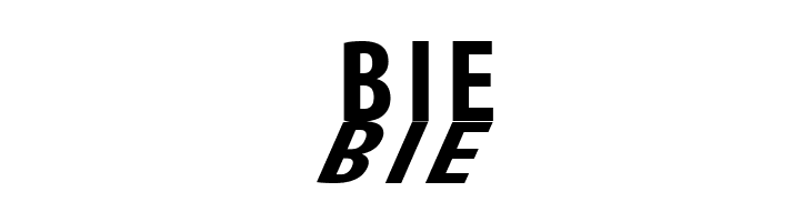 MirrorKleinShadow Bold  Free Fonts Download