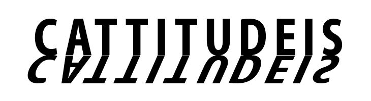 MirrorKleinShadow Bold  Free Fonts Download