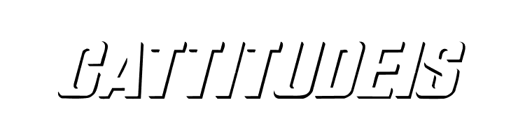 WhatA-Relief Italic  Free Fonts Download
