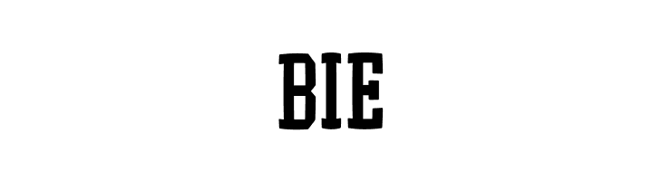 EgyptRund  Free Fonts Download