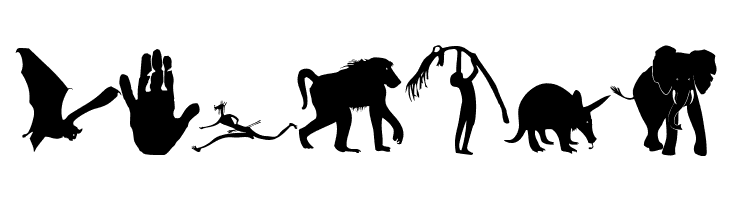 BlackLiving  Free Fonts Download