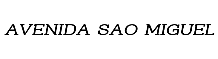 Street Slab - Wide Italic  Free Fonts Download