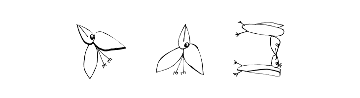 FlyOnYou  Free Fonts Download