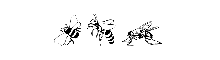 Insects07  Free Fonts Download