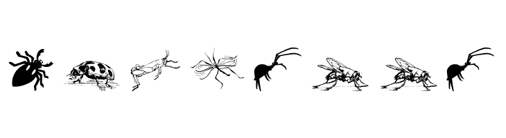 Insects07  Free Fonts Download