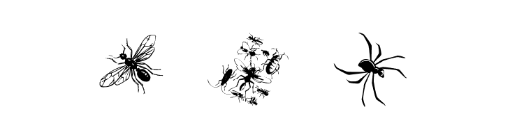 Insects07  Free Fonts Download