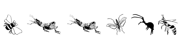 Insects07  Free Fonts Download