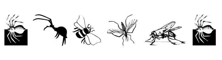 Insects07  Free Fonts Download