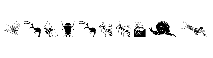Insects07  Free Fonts Download