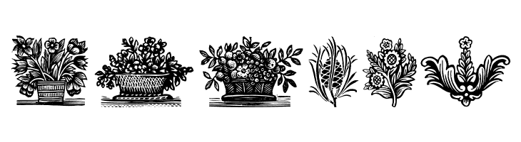 PlantenNBlomen  Free Fonts Download