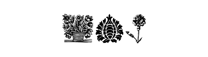 PlantenNBlomen  Free Fonts Download