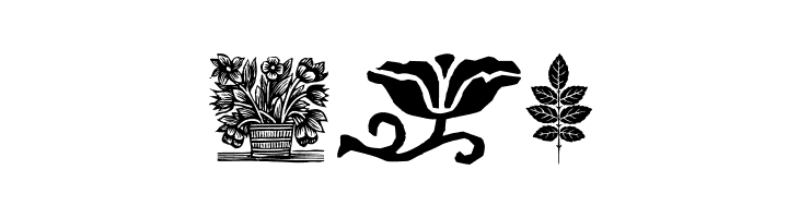 PlantenNBlomen  Free Fonts Download