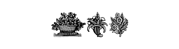 PlantenNBlomen  Free Fonts Download