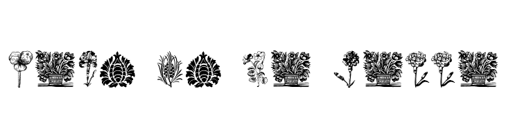 PlantenNBlomen  Free Fonts Download