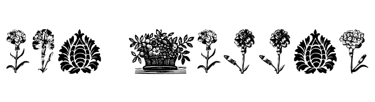 PlantenNBlomen  Free Fonts Download