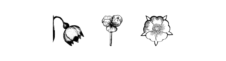 PlantenNBlomen  Free Fonts Download